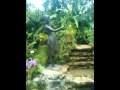 Plant House