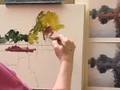 Oils on Colourfix - www.aldridgestudios.com