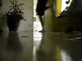 videos de Jumpstyle zuado :D