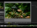 Shortcuts For Stacking Photos In Adobe Lightroom
