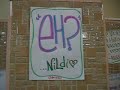 Las fenimas y sus carteles