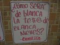 Las fenimas y sus carteles