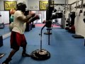 Tank Working The Reflex Bag