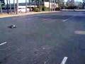 Duratrax Warhead Video - Wheelie 2 