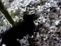 videos de Paco est pressé de revoir la neige