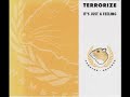 TERRORIZE - IT\