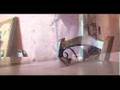 chien de reve bande annonce2