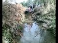 suziki king quad