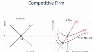Perfect Competition: Economic Profit, Loss, & Shut-Down
