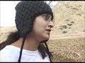 Survivour Coulee