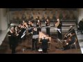 GRANADA BAROQUE ORCHESTRA. G.Ph.Telemann. Konzert für Traversflöte in D-Dur