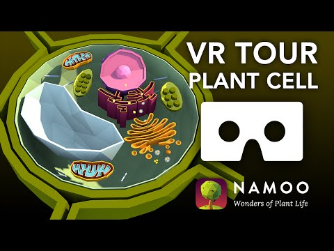 VR Plant Cell 3D Tour - Biology with NAMOO - YouTube