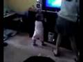 Preston's Dance