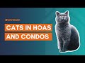 Can Homeowners Associations Regulate Type Of Indoor Animals