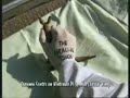 Kangeroo - Nintendo/Green Wing Sponsorship Advert