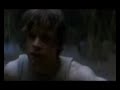 Amazing persian tabby performing star wars Yoda