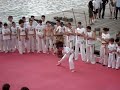 Capoeira - Ivan Milenkovic- Macaco
