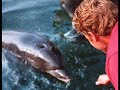 alderney-so-amazing.html