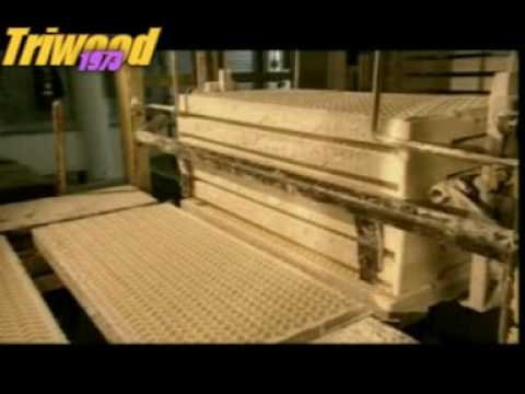jelly - A video showing the complete process of making jelly beans in a factory.