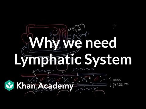 how to take care of your lymphatic system