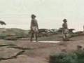 Homo Sapiens Engineered Species
