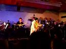 rockig ging es am 31.5.08 in hamburg zu: zusammen mit shelvis 
und fabio men�ndez spielen die jungen symphoniker
hamburg + friends ein 70er-jahre-konzert des king of
rock'n'roll nach.