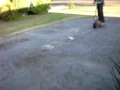 go-ped burn out