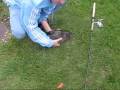 videos de catfish3.wmv