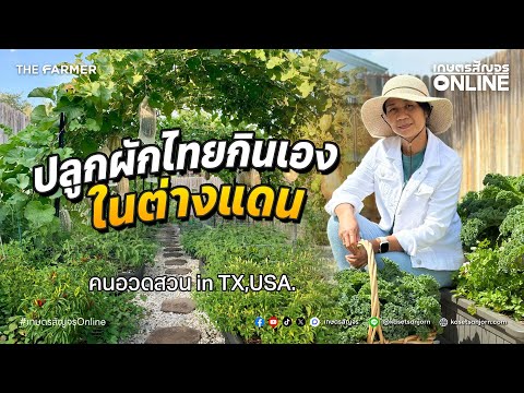 ปลูกผักสวนครัวไทยในต่างแดน และเทคนิคการจัดสวนผักข้างบ้าน กับ คนอวดสวน in TX,USA. | เกษตรสัญจร Online