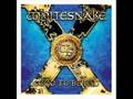 Whitesnake Summer Rain