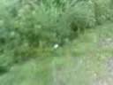 Jumping a ditch