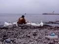 videos de mangalia nov2008 260.avi