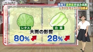 野菜が高騰!レタス、キュウリが8割増!?気になる価格、今いくら?(ニュース)