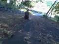 videos de skateboarding street luge with some wipeouts