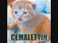cemalettin ad?n?nn yaz?l???