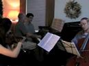 Mendelssohn - 2nd piano trio - allegro appasionata
