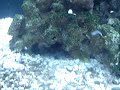 my lil guy is hungry