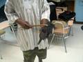 AFRICAN IDIOPHONE RHYTHMS