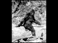 Sasquach Man Sasquach Man