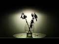 Apologize (feat One Republic) Timbaland
