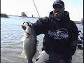 DELTA SPRING-TIME BASS-FISHING WITH RIPPN LIPPS