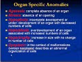 Medical School Pathology, Chapter 10b Medical School Pathology, Chapter 10b