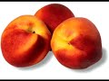 phish peaches en regalia frank zappa