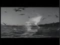 Gülay - İstanbul Ağlıyor By CengizTs