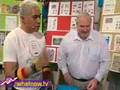 What Now - Stamp Collecting