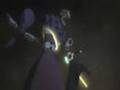 D.Gray Man AMV!