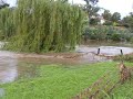 Condamine River Rising - Day 2 Condamine River Rising - Day 2
