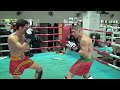 beast of the east at superpro samui