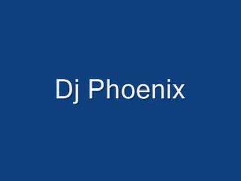Dj Phoenix - 21st Century Digital Girl