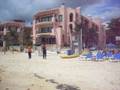 videos de fusion hotel